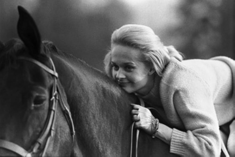 マーニーの画像