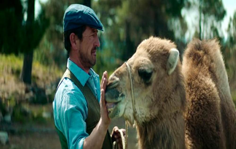 Poly（原題）の画像