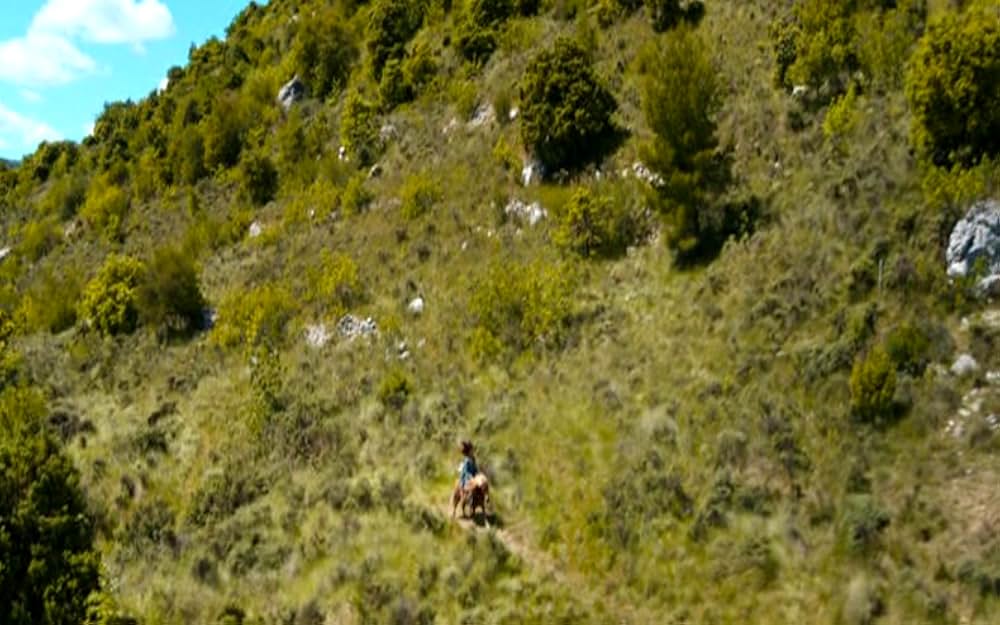 Poly（原題）の画像