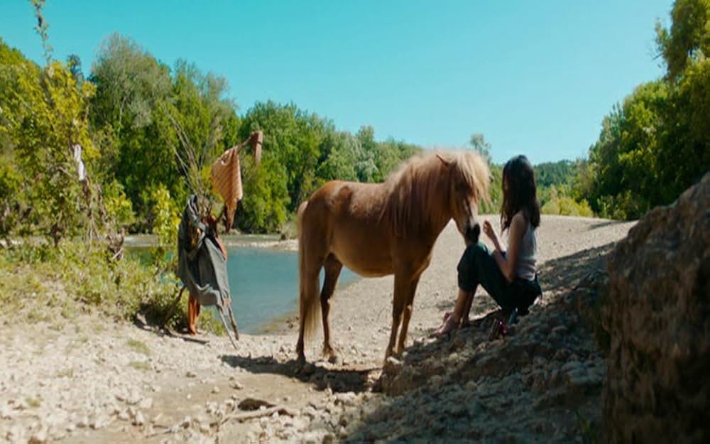 Poly（原題）の画像