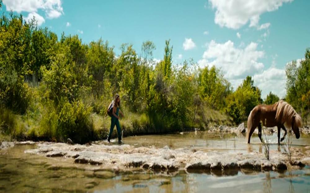 Poly（原題）の画像