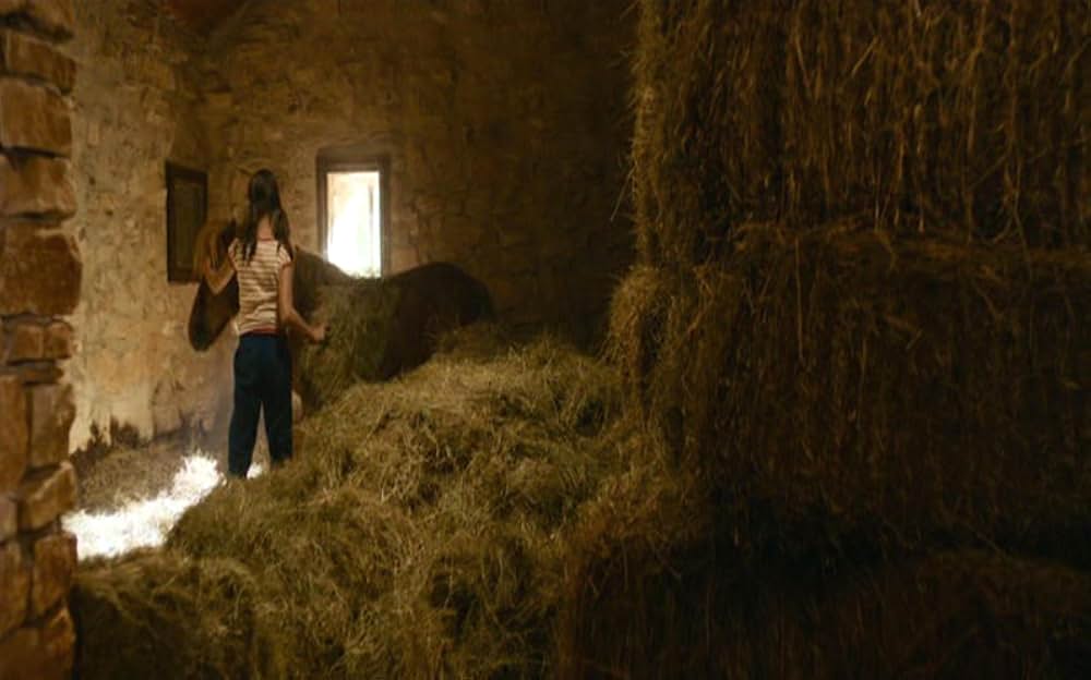 Poly（原題）の画像