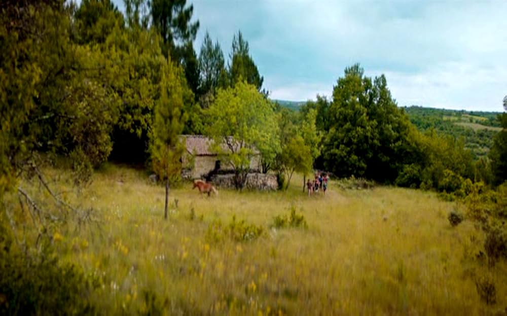 Poly（原題）の画像