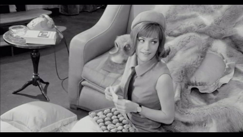 La bugiarda（原題）の画像