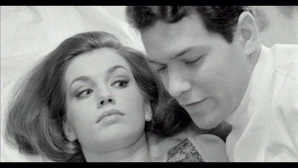 La bugiarda（原題）の画像