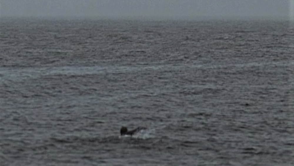 約束のハドソン川の画像