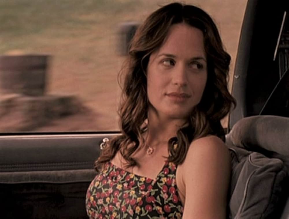 約束のハドソン川の画像