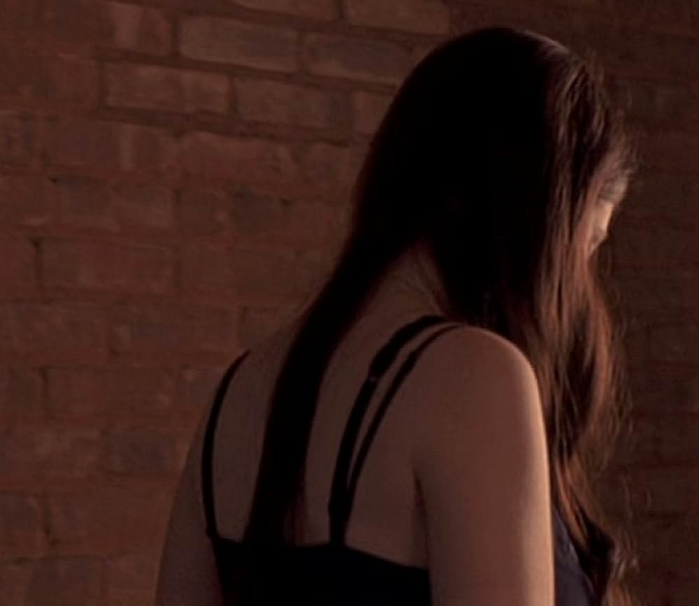 約束のハドソン川の画像