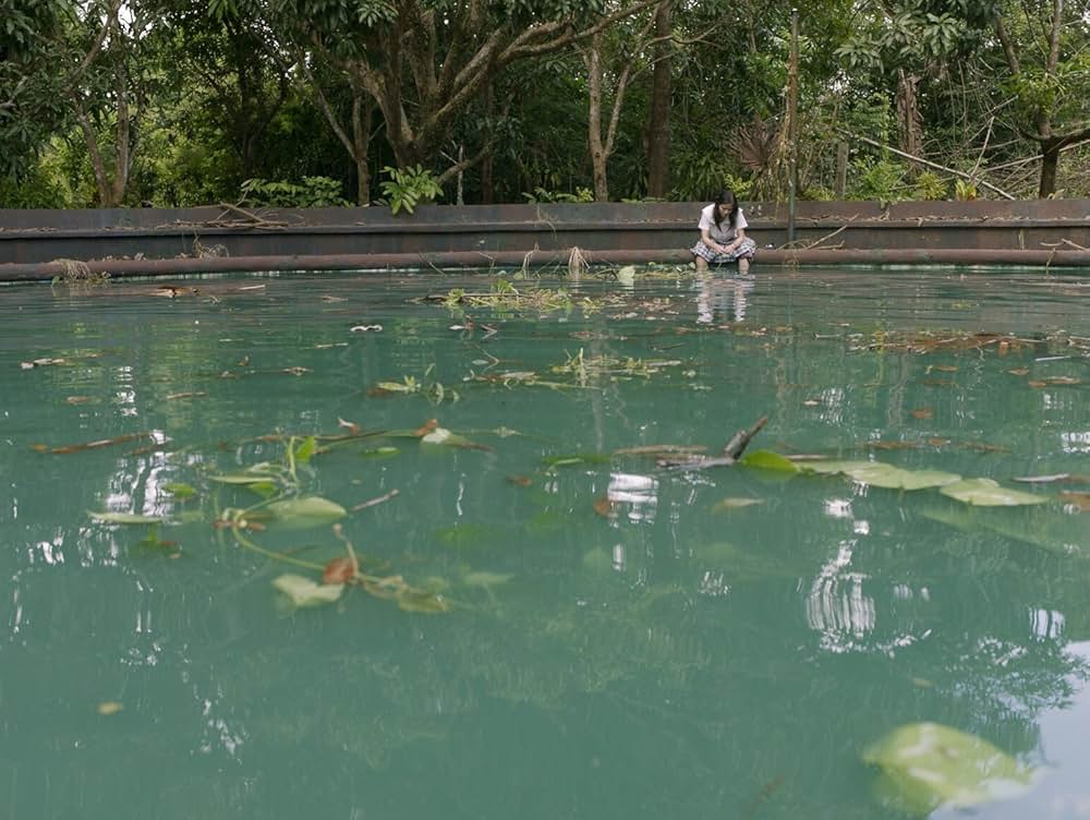 ファン・ガールの画像