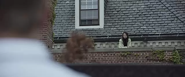 サラブレッドの画像