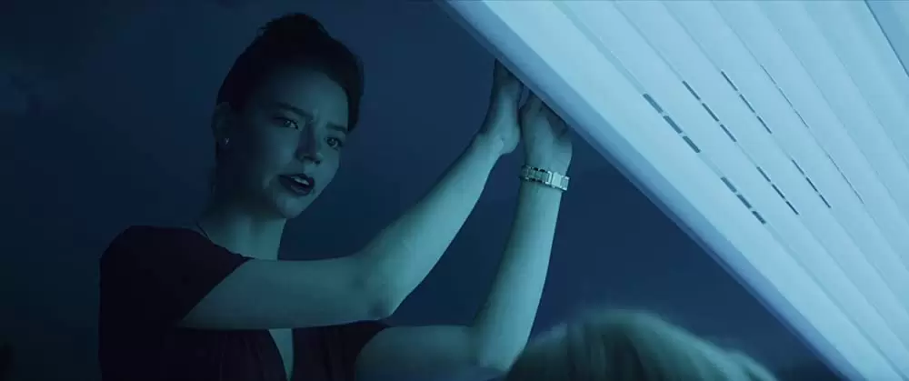 サラブレッドの画像