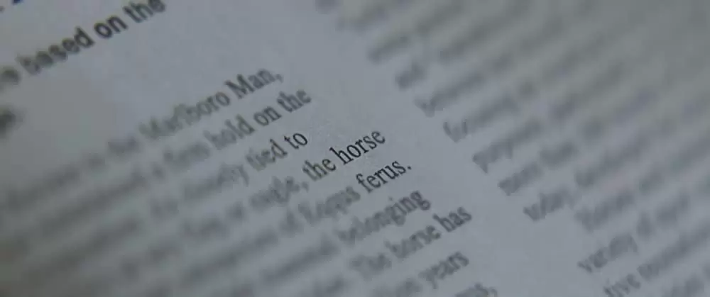 サラブレッドの画像