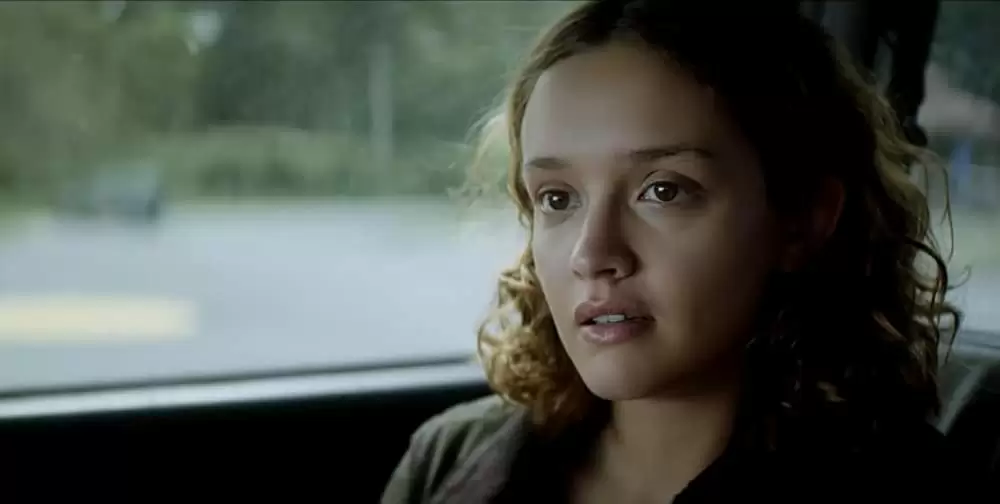 サラブレッドの画像