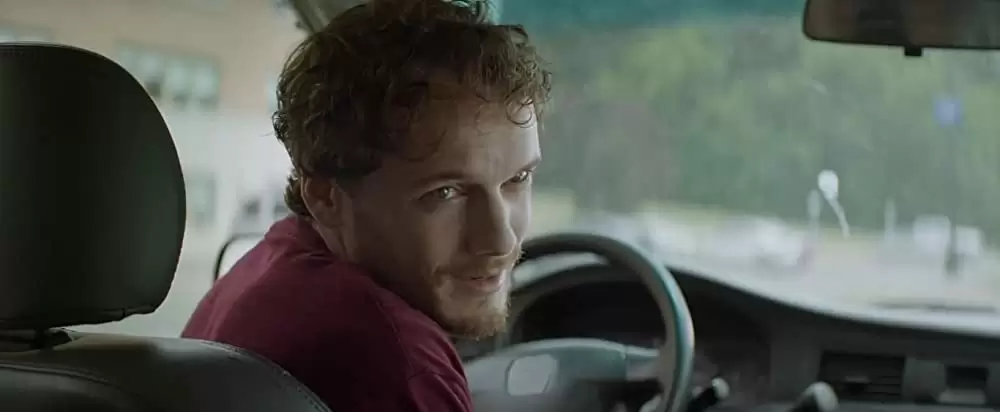 サラブレッドの画像