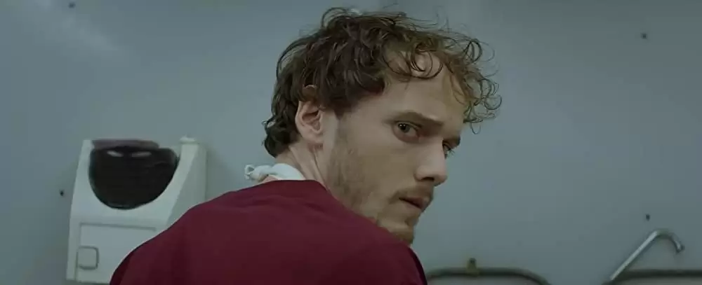 サラブレッドの画像