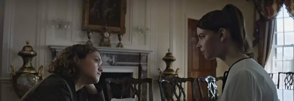 サラブレッドの画像