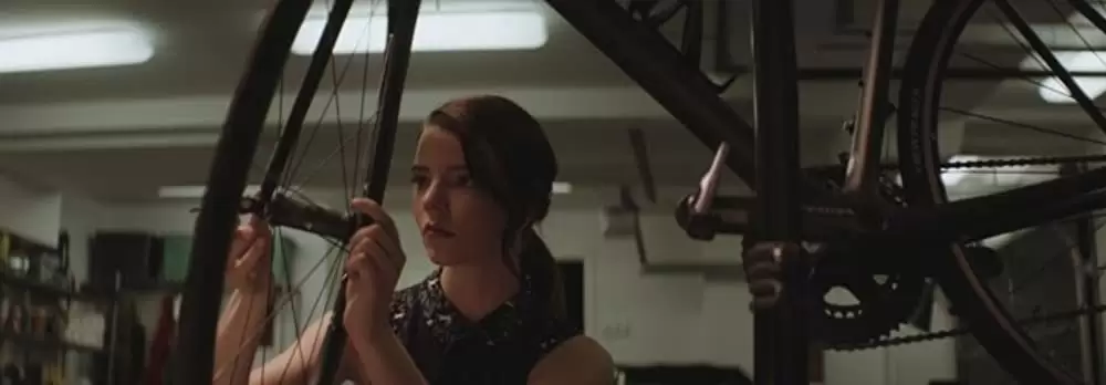 サラブレッドの画像