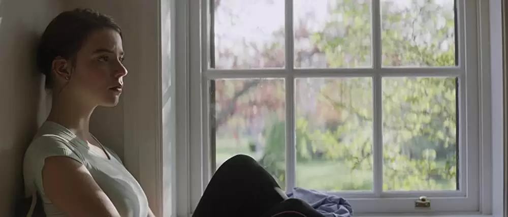 サラブレッドの画像