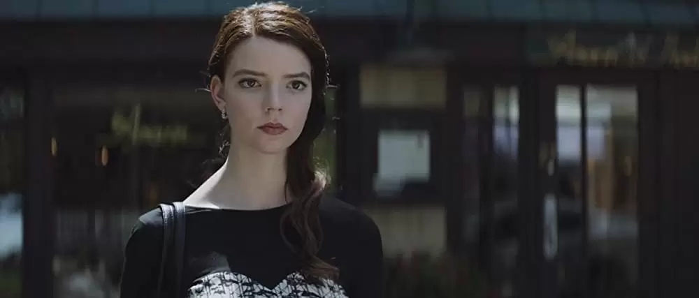 サラブレッドの画像