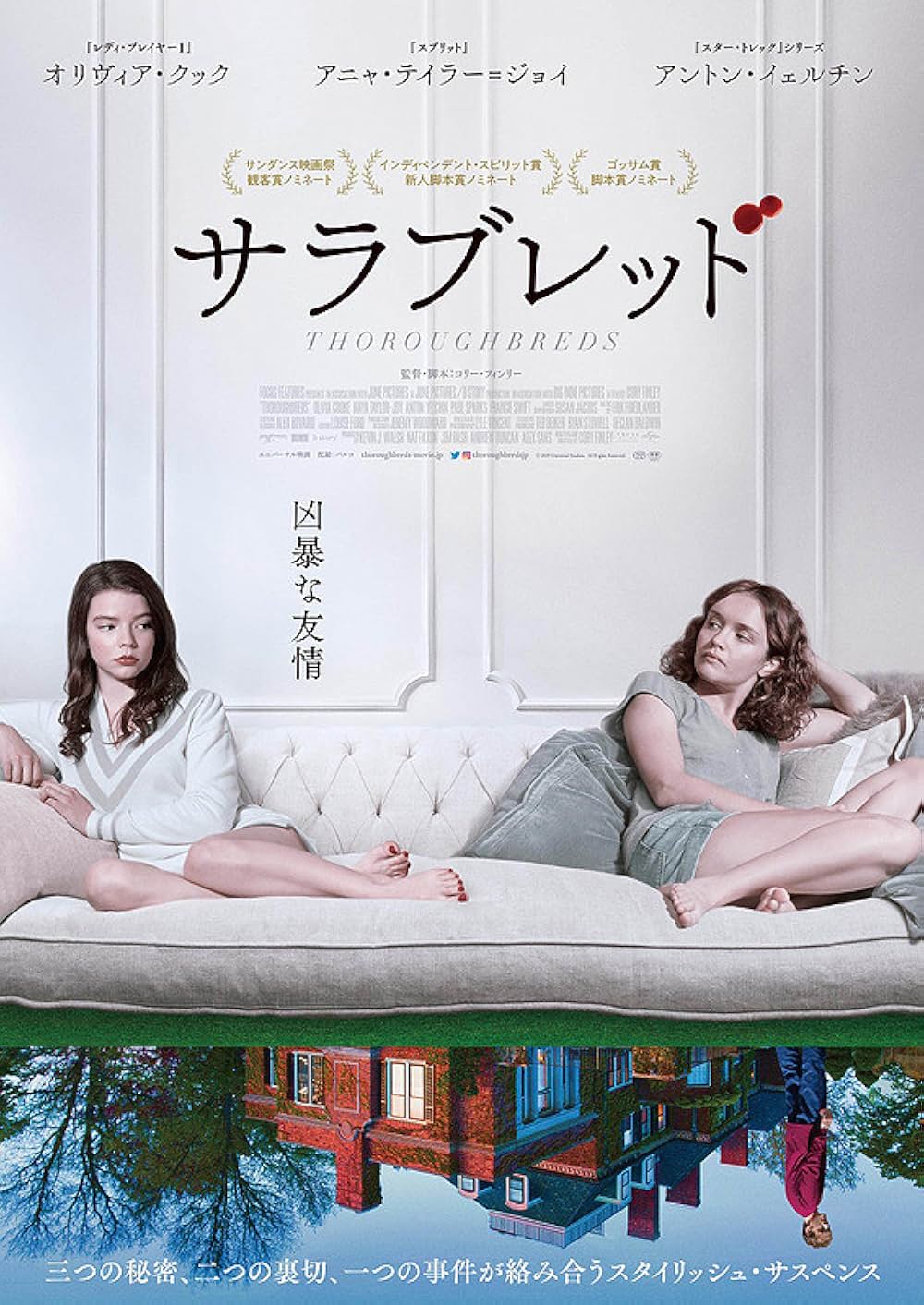 サラブレッドの画像