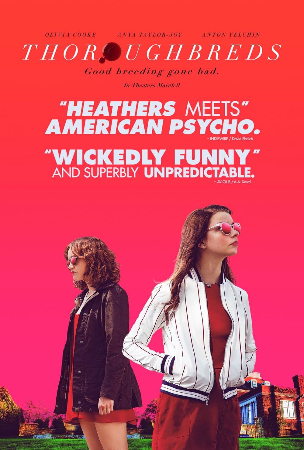 サラブレッドの画像