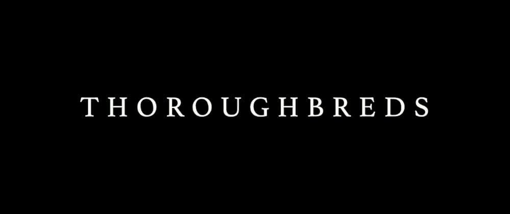 サラブレッドの画像