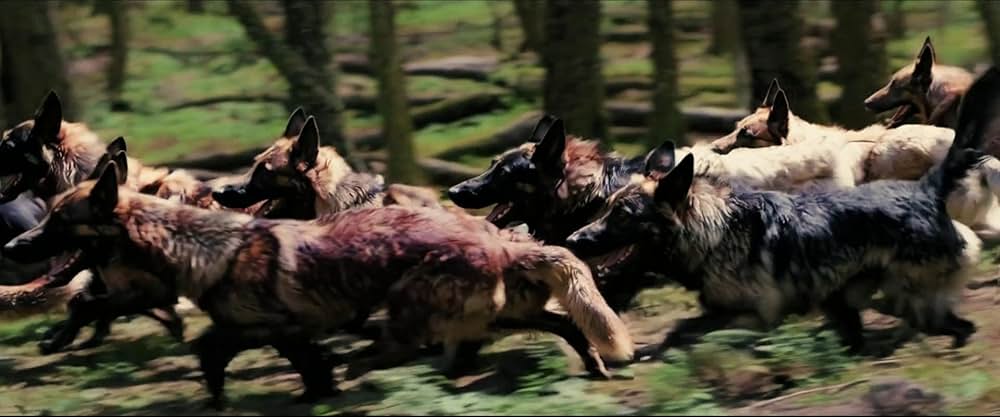 A Breed Apart（原題）の画像