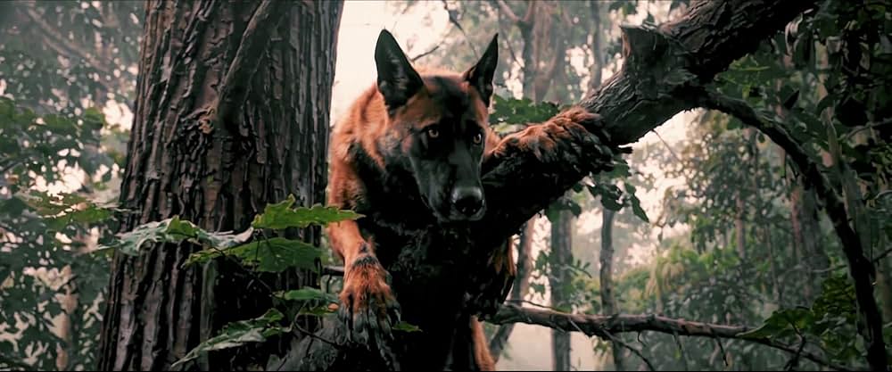 A Breed Apart（原題）の画像