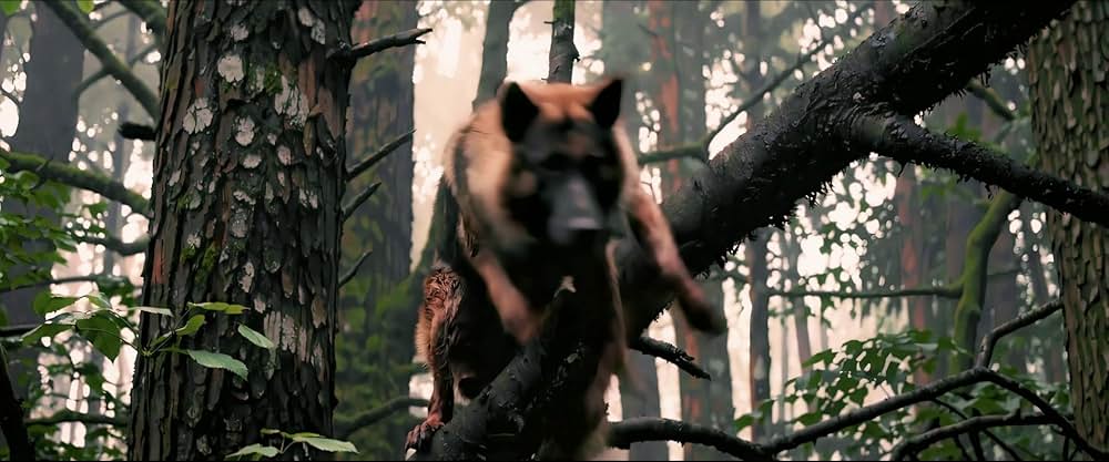 A Breed Apart（原題）の画像