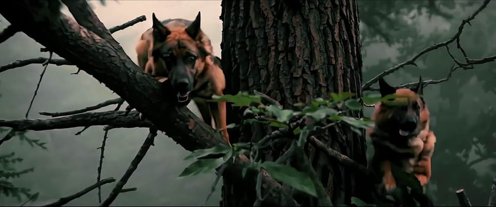 A Breed Apart（原題）の画像