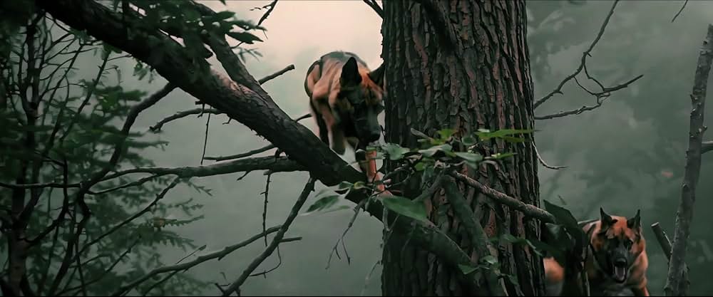 A Breed Apart（原題）の画像