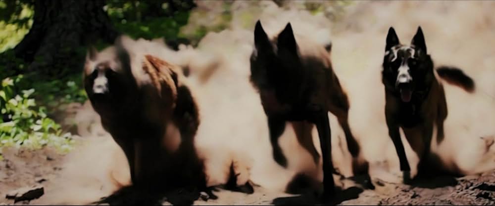 A Breed Apart（原題）の画像