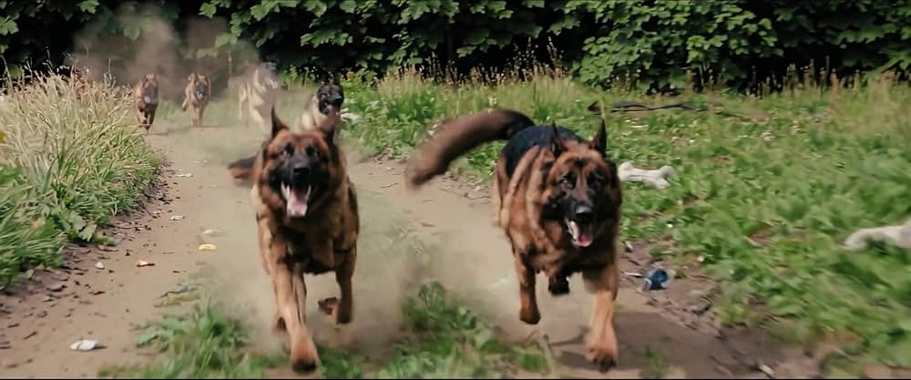 A Breed Apart（原題）の画像