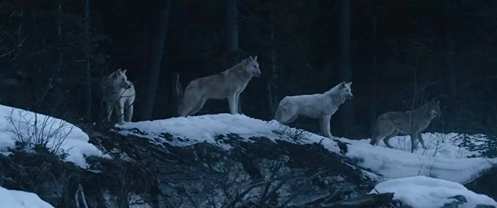 ホールド・ザ・ダーク そこにある闇の画像