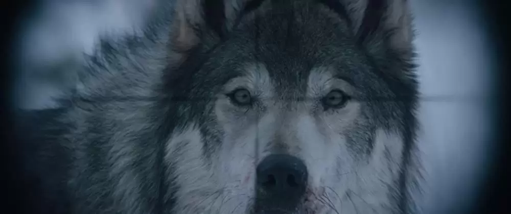 ホールド・ザ・ダーク そこにある闇の画像