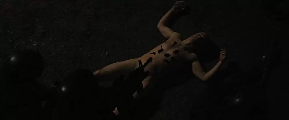 プロディッジーの画像