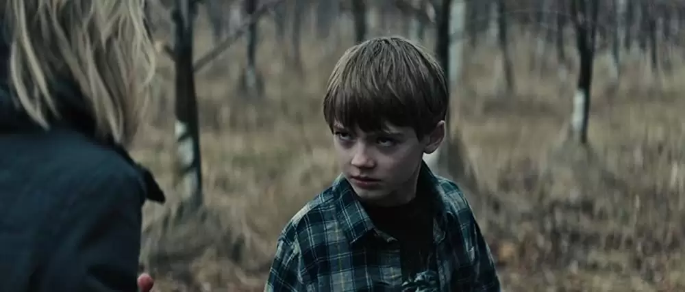 プロディッジーの画像