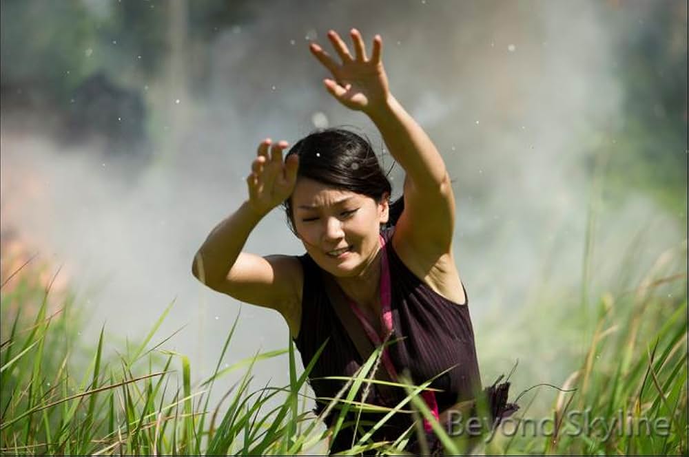 スカイライン-奪還-の画像