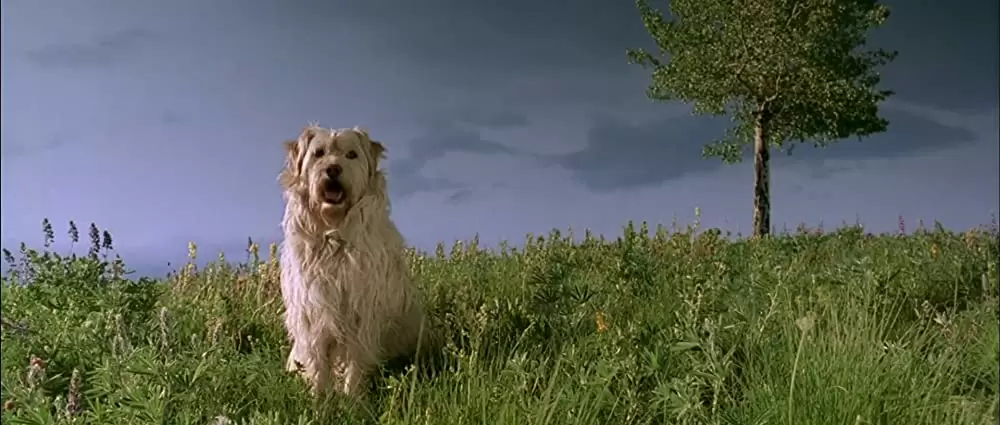 ワイルド・レンジ 最後の銃撃の画像