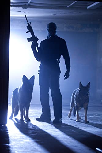 パーフェクト・トラップの画像