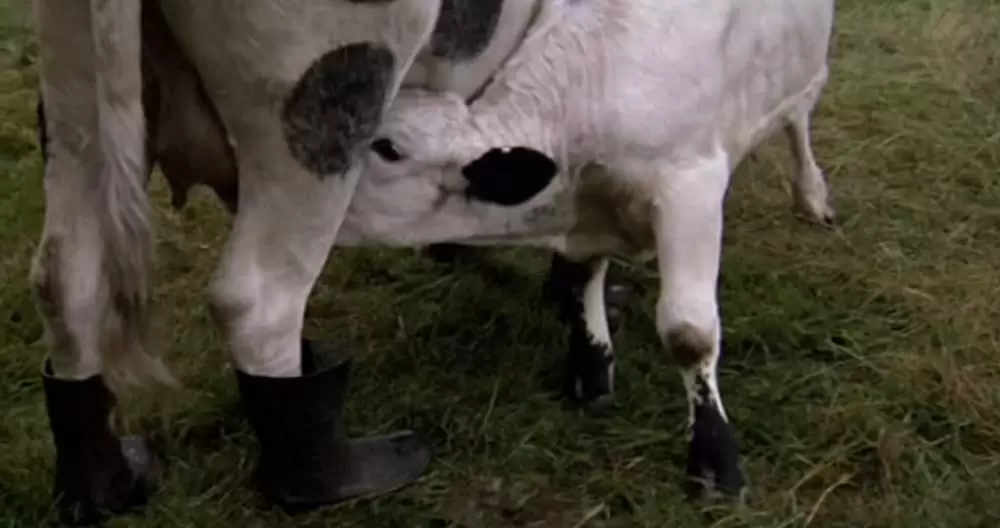 トップ・シークレットの画像