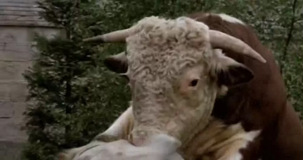 トップ・シークレットの画像