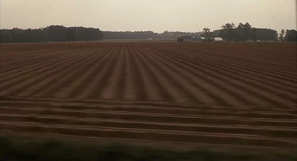 愛がこわれるときの画像