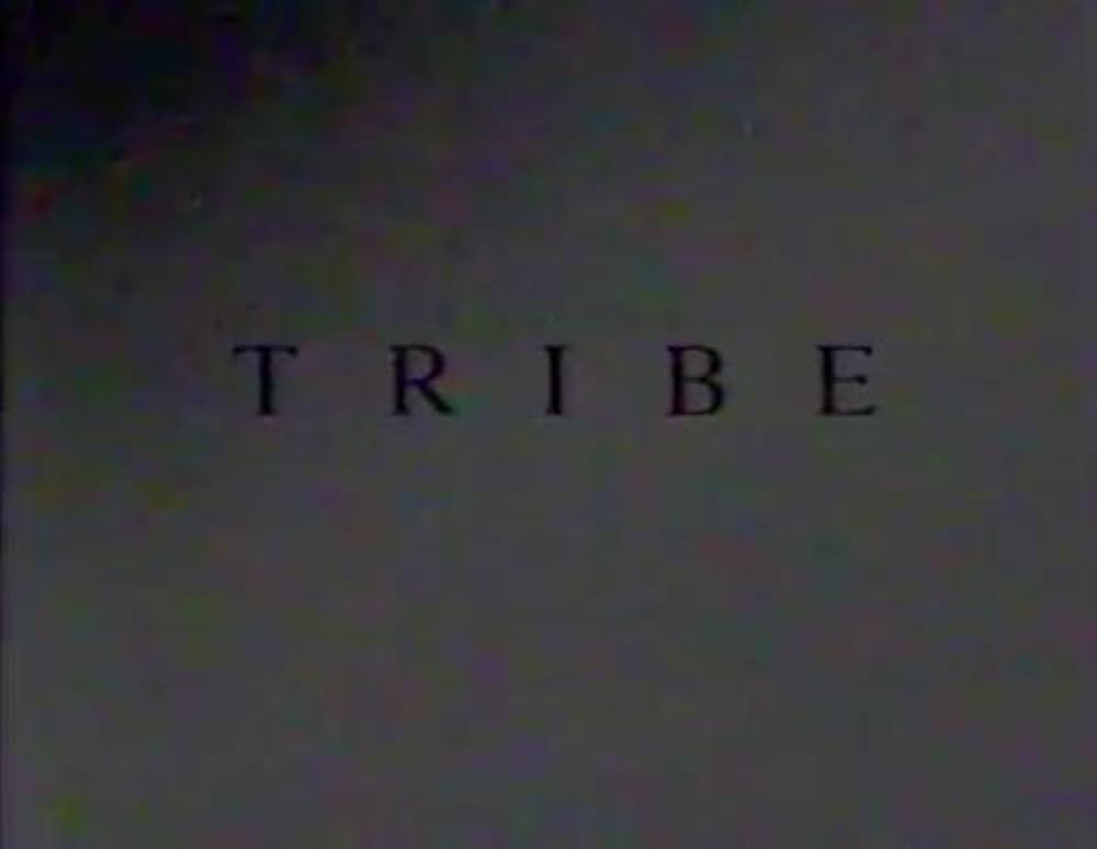 Imagining America（原題）の画像