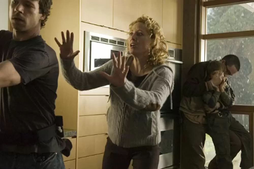 「ファイヤーウォール」バージニア・マドセン & Birkett Turton & ビンス・ビーラフの画像