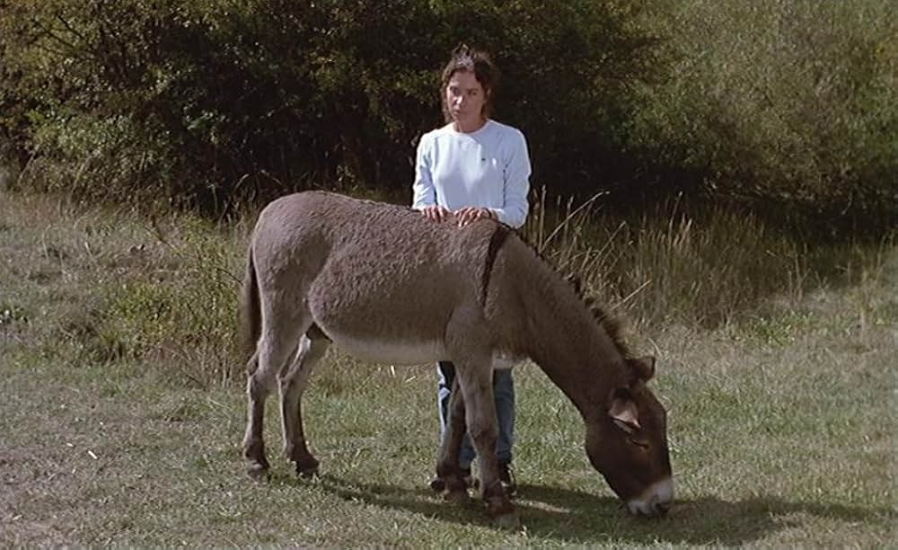 ルート 17 の遭難者たちの画像