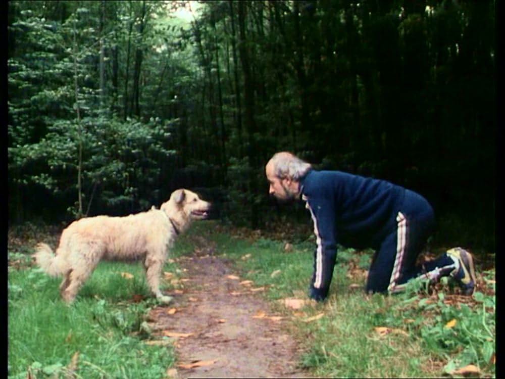 メドールの帝国の写真