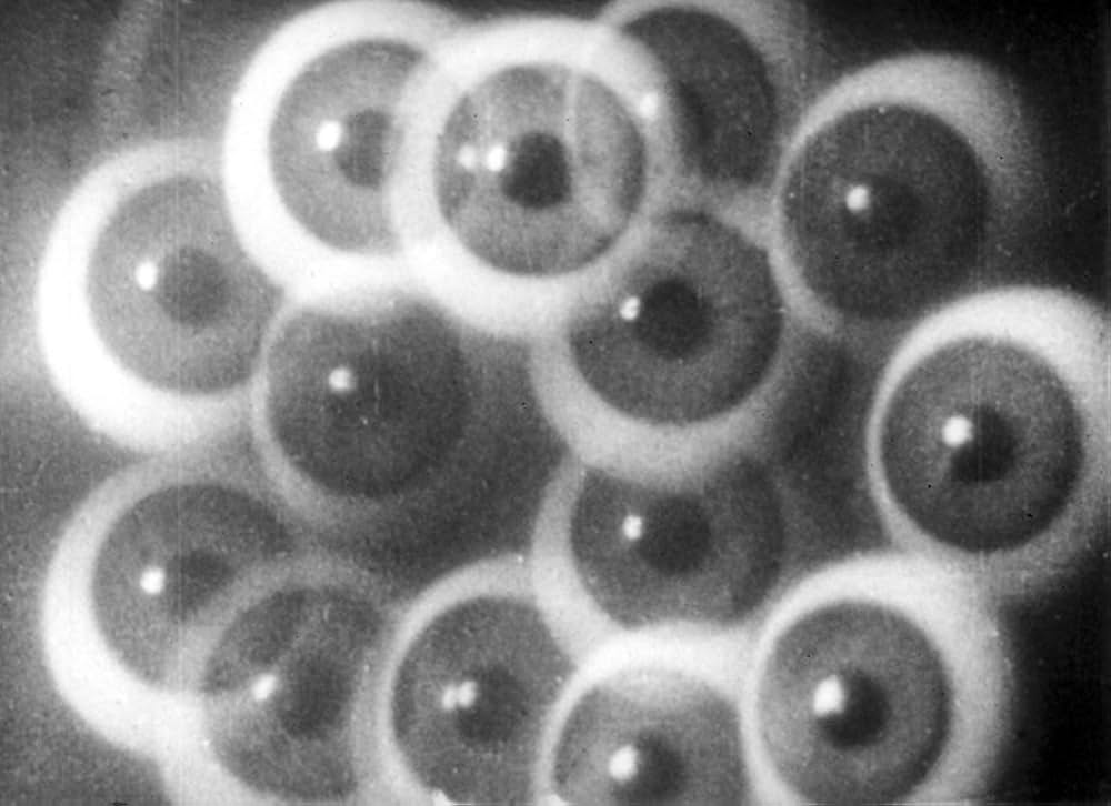 Filmstudie（原題）の写真