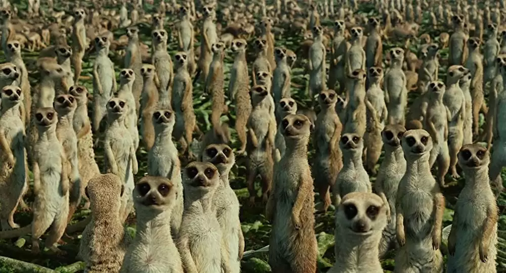 ライフ・オブ・パイ トラと漂流した227日の画像