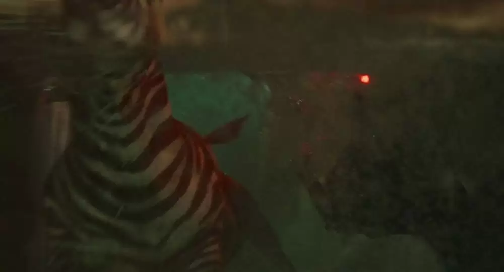 ライフ・オブ・パイ トラと漂流した227日の画像